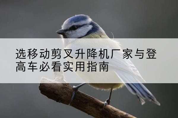 涞源电动升降机厂家-选移动剪叉升降机厂家与登高车必看实用指南
