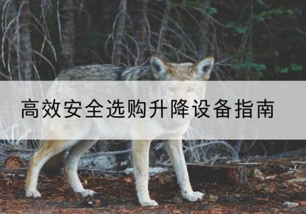 涞源升降货梯厂家推荐-*安全选购升降设备指南