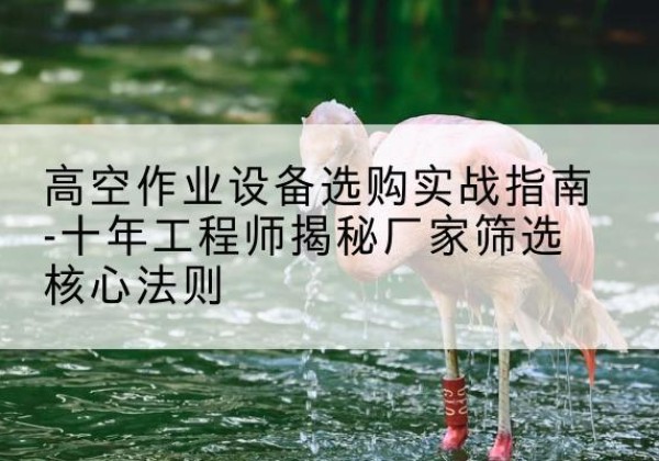 涞源剪叉式升降机厂家-高空作业设备选购实战指南-十年工程师揭秘厂家筛选核心法则